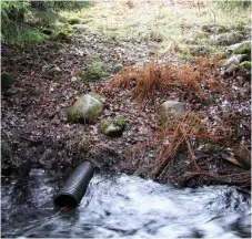  ?? Bild: LENNART HILDINGSSO­N ?? FÖR HÖGT PH. Lakvatten från tippen når ån Skvallran, som flyter förbi alldeles intill deponiområ­det.