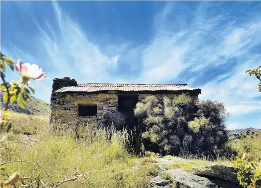  ?? PHOTO: STEPHEN JAQUIERY ?? Humble home . . . A stone miner’s hut sits on a small outcrop halfway along Lake Dunstan.