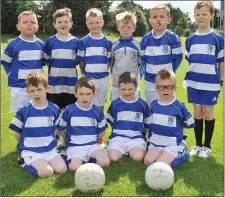  ??  ?? Dundalk Gaels U-7s