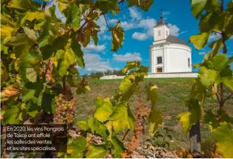  ??  ?? En 2020, les vins hongrois de Tokaji ont affolé les salles des ventes et les sites spécialisé­s.