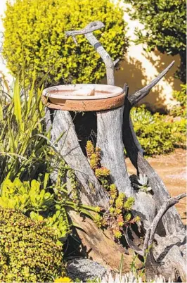  ?? EDUARDO CONTRERAS U-T ?? Reutlinger’s grandson provided a wooden stump to rest a birdbath on and another striking branch that extends over it to serve as a perch for visiting birds.