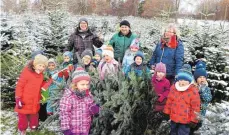  ?? FOTO: ANITA METZLER-MIKUTEIT ?? Auf dem Hof der Familie Knoll werden die Tannen gesägt und direkt mit in die Kindergärt­en genommen.