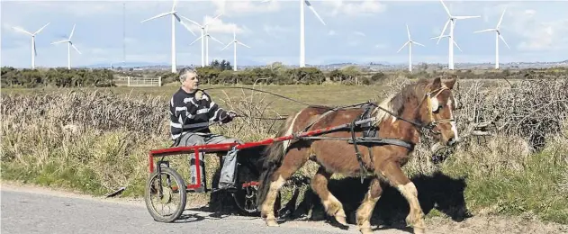  ?? PHOTO: PA ?? Rural life: Billy Collins, from Wexford town, rides his sulky past a field in Kilmore, Co Wexford.