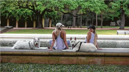  ?? Yi-Chin Lee / Staff photograph­er ?? Angel Deveau, left, takes her two dogs, Bobo, left, and Bear, out for a walk with Kim Bisson at Hermann Park.