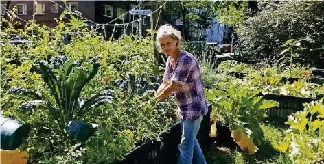  ?? FOTO: CHARLOTTE RASKOPF ?? Janine Albrecht bepflanzt „Kants Garten“im Kantpark. Und sie zaubert für die WDR-Sendung ein eigenes Menü.