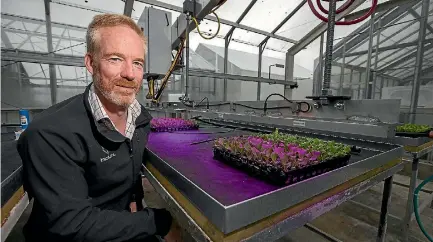  ?? PHOTO: DAVID UNWIN/STUFF ?? Warren Bebb, Biolumic chief executive, in the glasshouse where seedlings are treated with UV light.