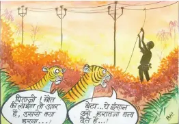  ??  ?? Stories using cartoons and caricature­s like these are being used to highlight the urgency of wildlife conservati­on.