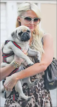  ?? Picture: SIPA PRESS/REX ?? Paris Hilton has fuelled demand for designer dogs