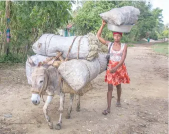  ?? S AUGUSTIN JUNIOR ?? Una joven transporta carbón por una zona rural de Haití.