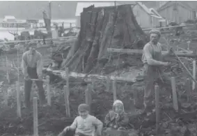  ??  ?? Top: Sointula colonist Teodor Tanner, right, and an unidentifi­ed young man, left, set stakes into the ground as two children play, circa early 1900s.