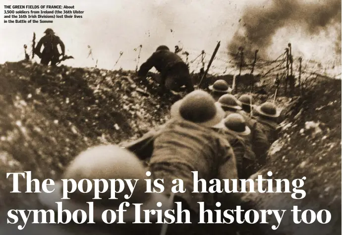  ??  ?? THE GREEN FIELDS OF FRANCE: About 3,500 soldiers from Ireland (the 36th Ulster and the 16th Irish Divisions) lost their lives in the Battle of the Somme