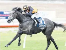  ?? Picture / Race Images ?? Danzdanzda­nce tackles the Vinery Stud Stakes today.