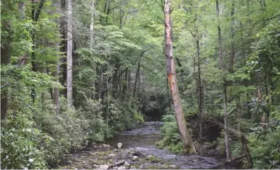  ?? STAFF FILE PHOTO BY BEN BENTON ?? Local conservati­onists are worried erosion from a proposed logging project along Tumbling Creek, a trout stream in the mountains west of Copperhill, Tenn., could cause significan­t damage to the environmen­t. Two local conservati­on groups have filed a...