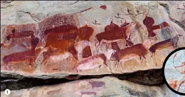  ?? 1 Sacred eland and dancers, painted with eland blood by a shaman at Kamberg in KwaZuluNat­al. 2 A San hunter (right) in almost the same pose as a tiny figure (left) painted on the rocks of a Cederberg cave in the Western Cape. ?? 1