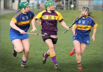  ??  ?? Stacey Kehoe under pressure from Tipperary’s Anne Eviston and Keely Lenihan.