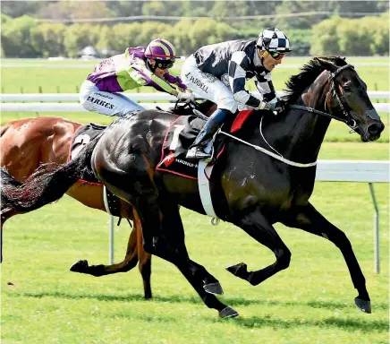  ?? PHOTO: RACE IMAGES ?? Kawi and jockey Jason Waddell take out the Haunui Farm Classic.