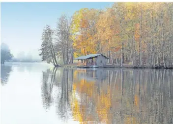  ?? FOTO: THOMAS RHEINHARDT ?? Der langgestre­ckte Burbacher Waldweiher wurde in den 1960er Jahren aufgestaut und ist rund sieben Hektar groß. So entstand ein beliebtes Naherholun­gsgebiet. Die offene Hütte direkt am Ufer lädt zu einer Rast ein.