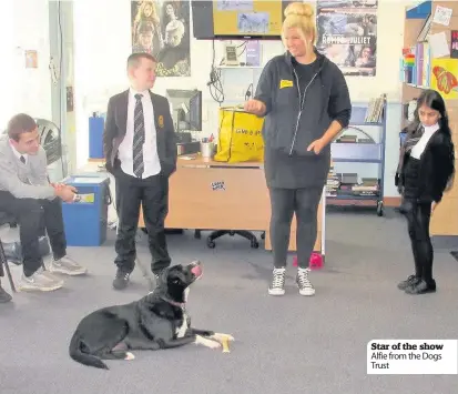  ??  ?? Star of the show Alfie from the Dogs Trust