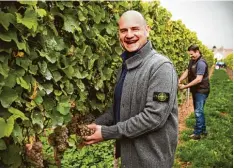  ?? Foto: Weingut Bauer, dpa ?? Der Pfälzer Winzer Martin Bauer betreibt ein Weingut in der sechsten Generation. Er ist auf der Suche nach jüngeren Kunden.