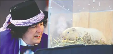  ?? WILLY WATERTON / THE CANADIAN PRESS ?? South Bruce Peninsula Mayor Janice Jackson confers with the late Wiarton Willie
as the albino groundhog makes his annual midwinter weather prediction in 2017.