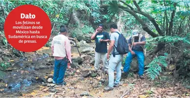  ??  ?? TRABAJO. Los investigad­ores y pobladores en la montaña entre San Pedro Sula, Choloma y Puerto Cortés durante los recorridos para colocar cámaras trampas.