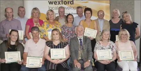  ??  ?? At the Wexford presentati­on of Social Inclusion and Community Activation Programme QQI certificat­es, in the Ferrycarri­g Hotel (from left), back – Joseph Woods, Declan O’Grady, Regina O’Grady, Gillian Miller-Sinnott, Philip Dempsey, Daixun He, Liam...