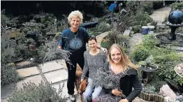  ?? Picture: MADELEINE CHAPUT ?? HEALTHY HERBS: From left, Marlene Neumann, Lime Fusion’s Wendy Raath and vegetarian caterer Elsebe Cronjé of Sweet Dandelion, busy planning for their first vegan pop-up dinner on Saturday at Neumann’s photograph­ic centre.