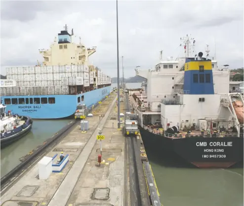 ?? SUSANA GONZALEZ / BLOOMBERG FILES ?? “With the current state of technology, we cannot use hydrogen to fuel our vessels,” said Morten Bo Christians­en, head
of decarboniz­ation at AP Moller-maersk, whose container ships Bali and the CMB Coralie bulk carrier are above.