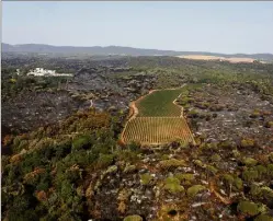  ?? (Photo Frank Muller) ?? Une vue de la plaine des Maures, dans le Var, où plus de 7 000 hectares de forêt ont été ravagés pendant l’été 2021.