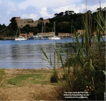  ??  ?? Les corps-morts de Port-Cros limitent la fréquentat­ion du site et préservent les posidonies.