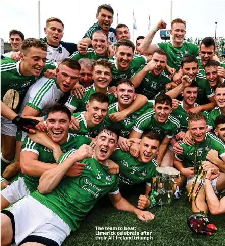  ??  ?? The team to beat: Limerick celebrate after their All-Ireland triumph