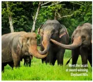  ?? ?? Meet the locals at award-winning Elephant Hills