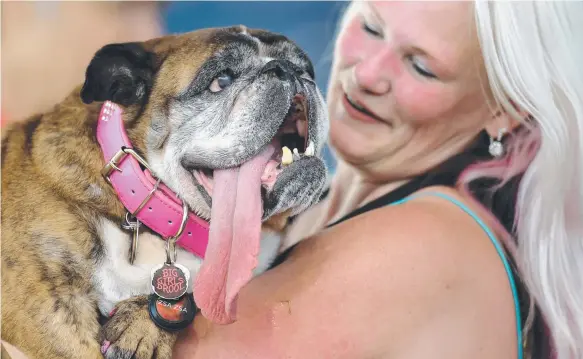  ?? Picture: AFP ?? Owner Megan Brainard with her dog Zsa Zsa, an English bulldog, who won the title of World's Ugliest Dog.