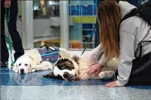  ?? ?? Hannah Brinkman (right) pets therapy dog Thor before heading to her flight, while Cleo (left) waits patiently for another passenger at the John Glenn Columbus Internatio­nal Airport.