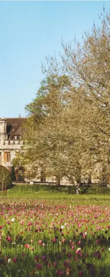  ??  ?? Left: The bejewelled meadows of Magdalen. In box: The gate motif echoes the fritillari­es