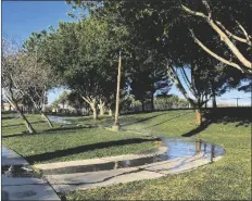  ?? KEN RITTER/AP ?? SPRINKLERS WATER GRASS AT A PARK on April 9, 2021 in the Summerlin neighborho­od of Las Vegas.