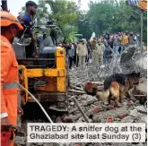  ??  ?? TRAGEDY: A sniffer dog at the Ghaziabad site last Sunday (3)