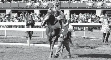  ?? TASHA POULLARD tpoullard@herald-leader.com ?? Arzak, the winner of the The 28th Running Of The Shakertown (Grade II), as jockey Irad Oritz, Jr (6) pays homage to his creator on the second day of the Keeneland Spring Meet, 100th running of the Toyota Blue Grass Stakes at Keeneland Race Course in Lexington on Saturday.