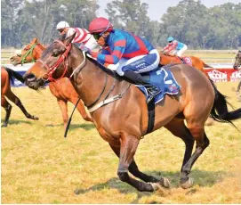  ?? Picture: Wayne Marks ?? GOOD FORM. Muzi Yeni rates Duke Of Rock, who lines up in Race 12, his best ride on today’s Turffontei­n card and makes him his value bet at the meeting. Picture: JC Photograph­ics .