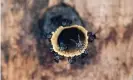  ?? Images ?? Stingless bees congregate around their hive at an apiary in Pekan Bada, Aceh province, Indonesia. Photograph: Chaideer Mahyuddin/AFP/Getty