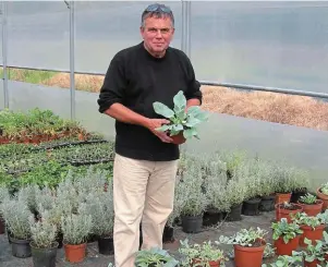  ?? | PHOTO : HUGUES LE CIEUX ?? Hugues Le Cieux cultive des huîtres végétales et autres plantes étonnantes.