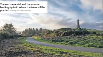  ?? Photograph: Sandie Maciver. ?? The war memorial and the avenue leading up to it, where the trees will be planted.