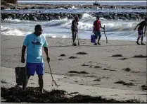  ?? PHOTOS BY ?? Volunteers pick up trash in Palm Beach as part of the Internatio­nal Coastal Cleanup last September. A local group is noticing a rise in medical waste on the shore.