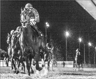  ?? HODGES PHOTOGRAPH­Y ?? Maxfield is being considered for the Pegasus World Cup after this victory in the Tenacious.