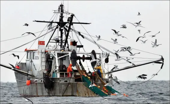  ?? (File Photo/AP/Robert F. Bukaty) ?? Gulls follow a commercial fishing boat
Jan. 17, 2012, as crewmen haul in their catch in the Gulf of Maine.