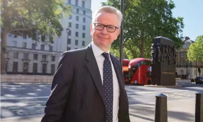  ??  ?? ‘Michael’s what I think of as a Gwyneth Paltrow Conservati­ve.’ Michael Gove. Photograph: George Cracknell Wright/Rex/Shuttersto­ck