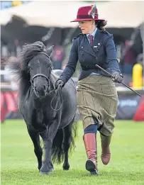  ??  ?? Top: Brood-mare Dhanak Prudence stood overall Welsh section C champion for Huntly exhibitor Gavin Ingram. Above: Other scenes from the show. Pictures: Jim Crichton/ Getty/Wullie Marr.