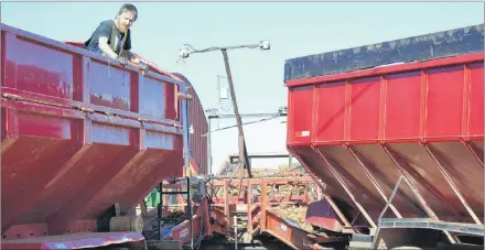  ?? ERIC MCCARTHY/JOURNAL PIONEER ?? A WP Griffin Inc. employee helps clean out a bulk box at the company’s Bloomfield warehouse Friday, as two potato trucks unload their contents simultaneo­usly.