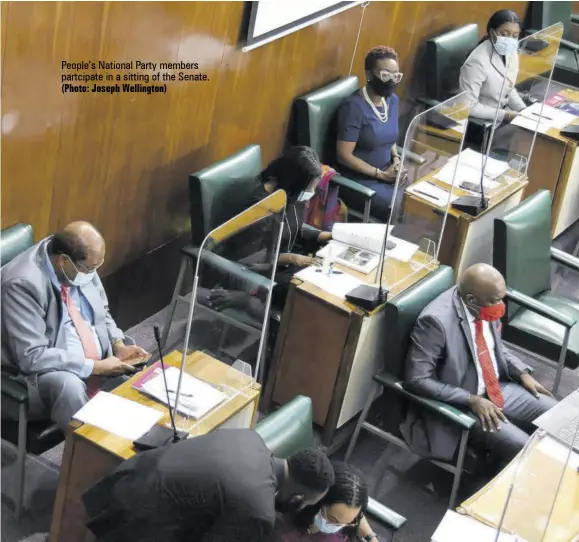  ?? (Photo: Joseph Wellington) ?? People’s National Party members partcipate in a sitting of the Senate.