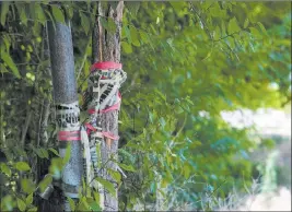  ??  ?? Caution tape on a pole remains at the location of the deadly 2016 bombing in Panaca.